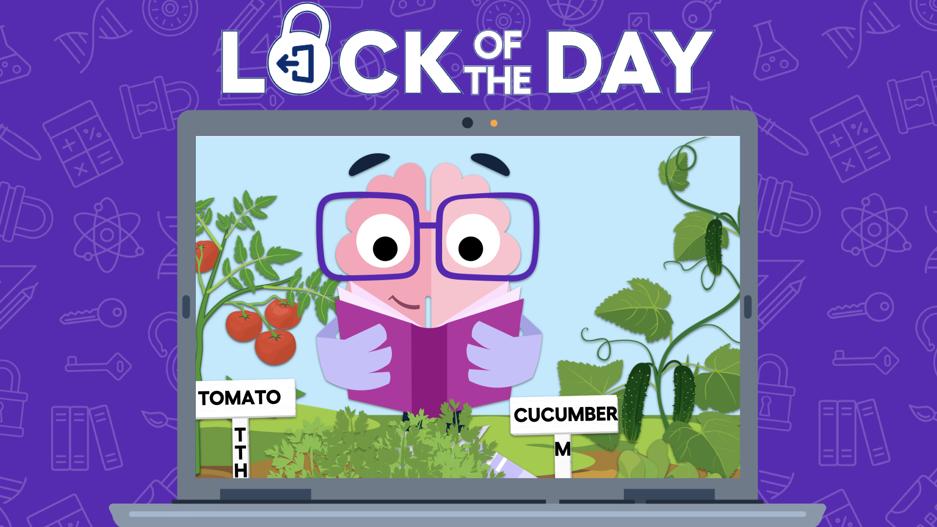 Lock of the Day, July 29, 2026